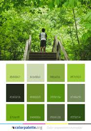 Get inspired by these beautiful green color schemes and make something cool! Paragliding Air Sports Sky Color Palette Colorpalette Org