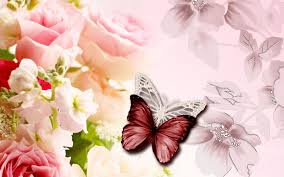 Pastel Flowers Butterflies Wallpapers Top Free Pastel Flowers Butterflies Backgrounds Wallpaperaccess