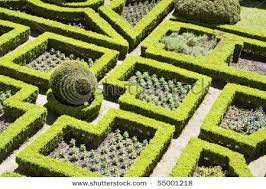 Geometric Garden Traditional Garden Garden Design Garden