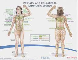 Pin On Medical