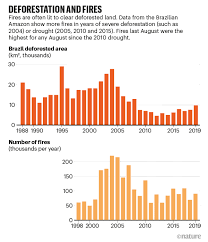 Most people have fond memories of a tree. When Will The Amazon Hit A Tipping Point