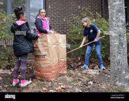 Kayla Gervais, left, Brooke Osborne, center, and Chloe Sperry rake leaves  outside the Youth Center as part of a community service project March 29.  Throughout the week the Youth Center celebrated National