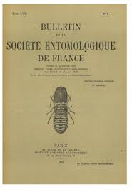 Image result for Chrysochloa