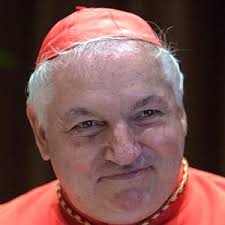 Quién es Robert Sarah, el polémico cardenal africano que está en la carrera  de favoritos para ser el nuevo Papa de Roma