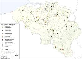 La parola italiana libro deriva dal latino liber.il vocabolo originariamente significava anche corteccia, ma visto che era un materiale usato per scrivere testi (in libro scribuntur litterae, plauto), in seguito per estensione la parola ha assunto il significato di opera letteraria. Spatial Disaggregation Of Tick Occurrence And Ecology At A Local Scale As A Preliminary Step For Spatial Surveillance Of Tick Borne Diseases General Framework And Health Implications In Belgium Parasites Vectors