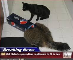 We did not find results for: I Can Has Cheezburger Fat Page 19 Funny Animals Online Cheezburger