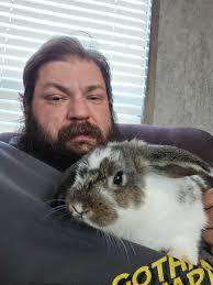 My three arseholes. Been in the shelter for almost a year. Nobody wanted  them because they were with3 instead of 2 and not populair colours.. humans  🙈 They runied my garden, but