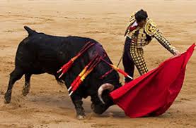 2021 bylo ve španělsku 2 680 nově nakažených koronavirem ve věku do 15 let, 4 037 ve věku 15 až 24 let, 8 182 ve věku 25 až 49 let, 2 069 ve věku 50 až 64 let, 634 ve věku 65 až 79 let a 277 osmdesátiletých a starších. Spanelsko Zeme Vasnive Koridy 100 1 Zahranicni Zajimavost