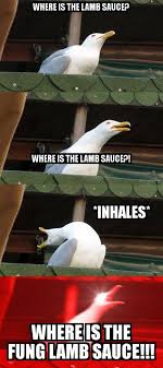 No doubt gordon ramsay is a multitalented person. Gotta Love Some Gordon Ramsay Memes 9gag