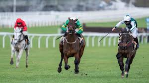 Grey Dawning Horse: The Overlooked Contender for the 2026 Gold Cup