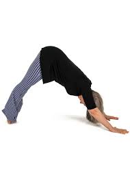 A Cyndi Lee Sequence Deconstructed Home Yoga Practice Yoga For Beginners Downward Facing Dog