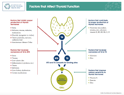 Osgood and his team at grassroots functional medicine achieve remarkable patient outcomes utilizing a holistic approach that addresses the root causes of imbalance and dysfunction. Pin On Health And Wellness
