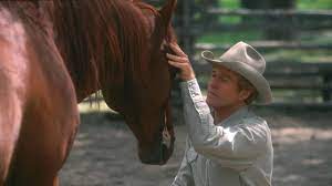 Read 1,02 k from the story avvisi su l'uomo che sussurrava ai cavalli(della anche le condizioni del cavallo sono gravi al punto che una veterinaria c. L Uomo Che Sussurrava Ai Cavalli Streaming Italiano In Altadefinizione