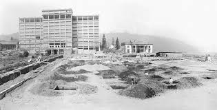 Image result for Pink 1964 Montgomery Ward