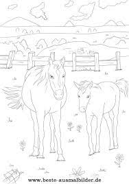 Ihr könnt ihr kostenlos online zahlreiche pferde malvorlagen und ausmalbilder spielen. Beste Ausmalbilder Ausmalbilder Pferde Malvorlagen Pferde Ausmalen