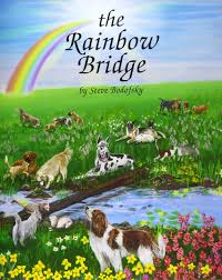 Savesave rainbow bridge walk and poem for later. The Rainbow Bridge Bodofsky Steve 9780960049301 Amazon Com Books