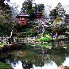 Photos De Japanese Tea Garden Tea Garden California Travel San Fransisco