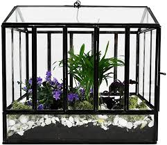 Amazon Com Urban Born Glass Terrarium Greenhouse 10 X7 X10 Urban Black Steel Large Garden Outdoor In 2020 Terrarium Glass Terrarium Large Greenhouse