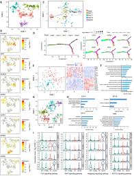 Dissecting Primate Early Post Implantation Development Using