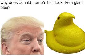 What do you call a hippie's wife? 24 Tweets About Donald Trump That Will Make You Cry From Laughing