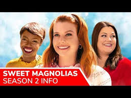 Pin By Bill Reinhart On Tv In 2020 Joanna Garcia Sweet Magnolia Jamie Lynn Spears