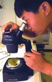 Research helps Louisiana's growing 'green' industry