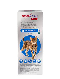 Is there any difference in efficacy if a dog chews bravecto plus^, in addition to providing 3 months flea and tick protection, treats roundworm, lungworm and hookworm infections and ear mites. Bravecto Plus Topical Solution For Cats 6 2 13 8 Lbs Blue Box 1 Dose 2 Months Protection Chewy Com