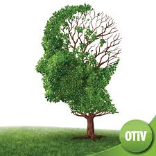 Bệnh teo não là gì? Nguyên nhân, triệu chứng và cách phòng ngừa | OTiV