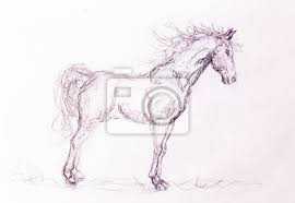 40 bilder zum nachmalen inspirationen zu allen farbmedien. Zeichnung Pferd Auf Altpapier Original Hand Zeichnen Leinwandbilder Bilder Schone Rennpferd Mystiker Myloview De