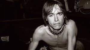 A celebration of the agile and multi. Iggy Pop I Ve Finally Got The Voice I Was Supposed To Have Bbc News