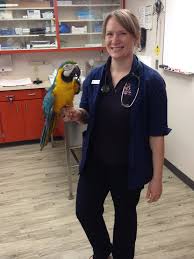 Последние твиты от tlc pet hospital (@tlcpethospital). Exotic Animal Medicine El Paso Vet Tlc Animal Hospital