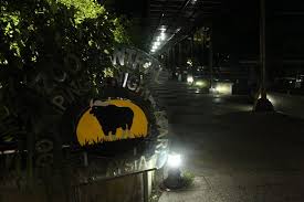 Jalan taman tasik taiping 34000 тайпин, perak малайзия. Zoo Taiping Night Safari 2021 All You Need To Know Before You Go With Photos Taiping Malaysia Tripadvisor