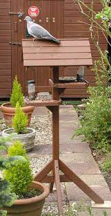 Clean your feeder regularly to avoid the spread of disease. Bird Feeding Wikipedia
