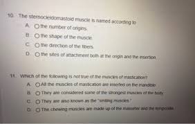 Printed out several netter or thieme atlas images with the muscles and used a red marker for origin lines and a blue marker for insertion lines with the lines. 10 The Sternocleidomastoid Muscle Is Named According Chegg Com