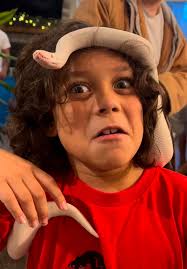 Perhaps some whip scorpion love is in the works?