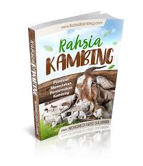 Bagi penternak yang ingin menambah ilmu dan juga membina diri untuk menjadi usahawan digalakkan untuk. Panduan Ternak Kambing M Niaga