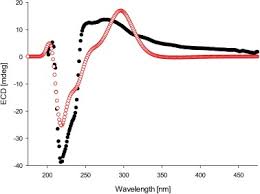 Image result for Suregada procera