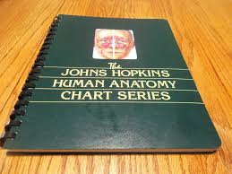 the johns hopkins human anatomy chart series