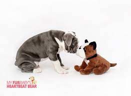 Bully Puppy Puppies Pet Keepsake Personalized Pet