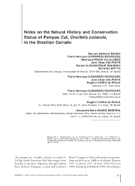 Not endangered in nature, the pampas cat now numbers less than one half dozen in zoos. Pdf Notes On The Natural History And Conservation Status Of Pampas Cat Oncifelis Colocolo In The Brazilian Cerrado Alexandra Bezerra Reuber Brandao And Manrique Prada Academia Edu