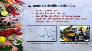 Image result for Amnesic Shellfish Poisoning