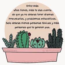 Vânzare de electrocasnice, telefoane mobile, articole pentru sport și agrement, articole de uz casnic, piese auto, anvelope și instrumente cel mai mare internet magazin in moldova cactus.md. 64 Ideas De Frases De Cactus Frases Frases Bonitas Frases Motivadoras