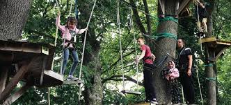 Klettergarten In Mitteldeich Sich Ausprobieren Und Angste Uberwinden