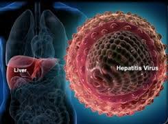 All patients with chronic hepatitis b infections, including children and adults, should be monitored regularly since they are at increased risk for developing cirrhosis, liver failure, or liver cancer. Antiviral Therapy May Prevent Liver Cancer In Hepatitis B Patients Hepatitis B Foundation