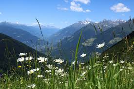 August Berge Almen Ruhe Entspannen Natur genießen