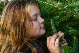 Bewusst leben & Alltag