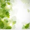 Top view green leaf background. 1