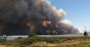 Son dakika habere göre antalya'nın manavgat ilçesinde çıkan yangında 2 dönüm kızılçam ormanı zarar gördü. Mkgtva5hnyinom