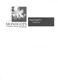 Image result for Radinosiphon leptostachya