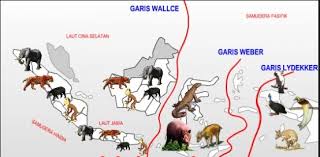 We did not find results for: Geografi Kelas 11 Flora Dan Fauna Di Indonesia Kajian Geografi Sariwangi